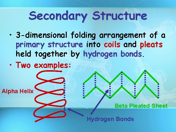 Secondary Structure • 3 -dimensional folding arrangement of a primary structure into coils and