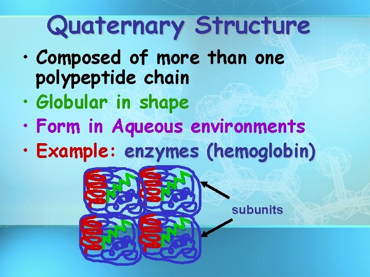 Quaternary Structure • Composed of more than one polypeptide chain • Globular in shape