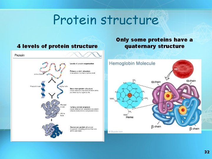 Protein structure 4 levels of protein structure Only some proteins have a quaternary structure
