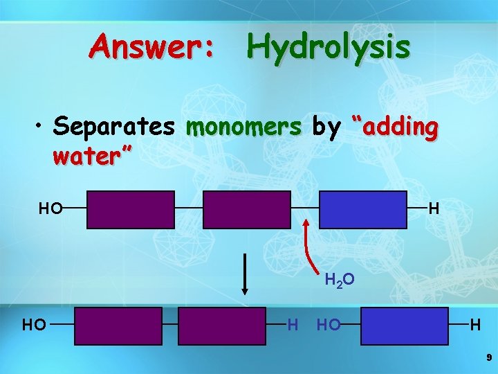 Answer: Hydrolysis • Separates monomers by “adding water” HO H H 2 O HO