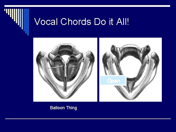 Vocal Chords Do it All! Open Balloon Thing 