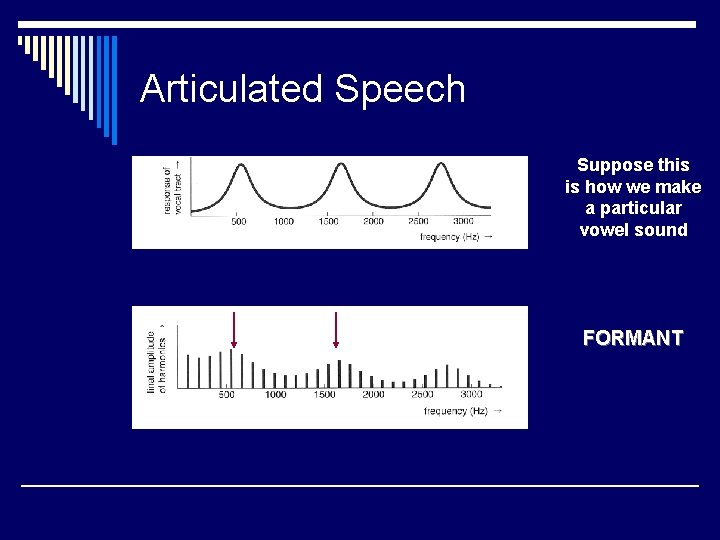 Articulated Speech Suppose this is how we make a particular vowel sound FORMANT 