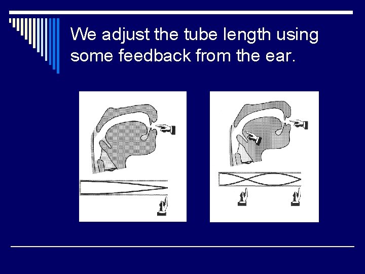 We adjust the tube length using some feedback from the ear. 