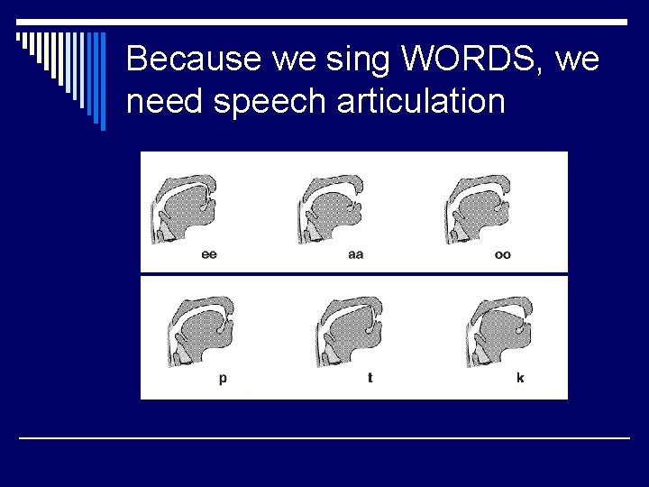 Because we sing WORDS, we need speech articulation 