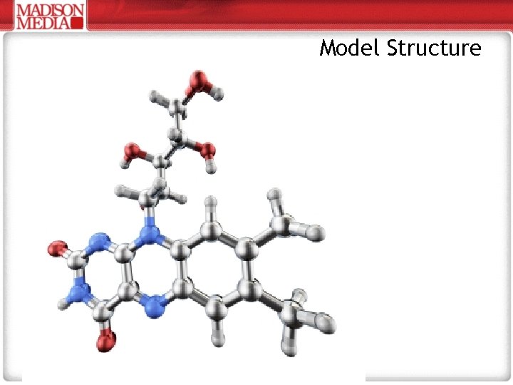 Model Structure 