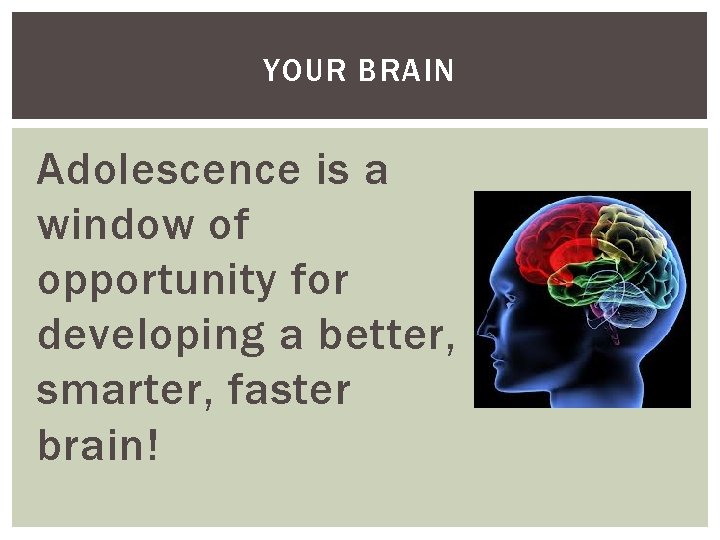 YOUR BRAIN Adolescence is a window of opportunity for developing a better, smarter, faster