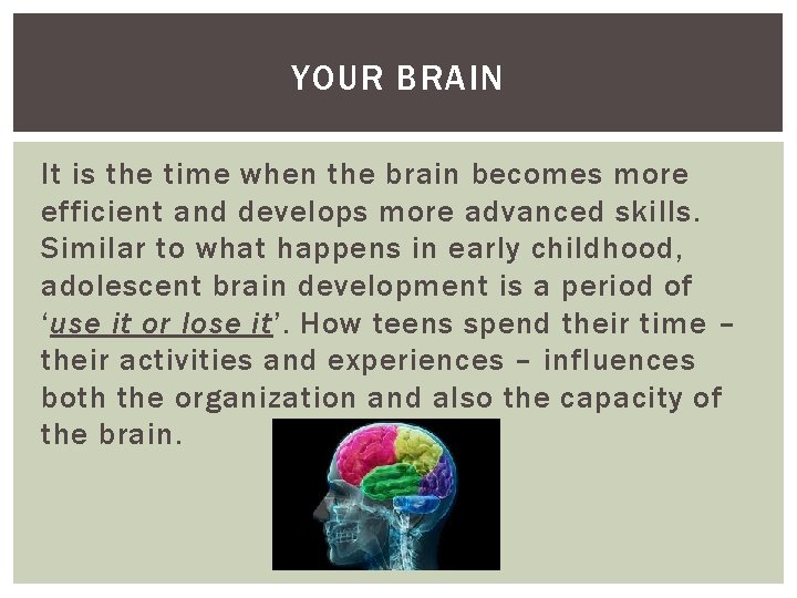 YOUR BRAIN It is the time when the brain becomes more efficient and develops