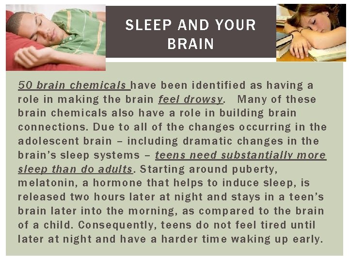 SLEEP AND YOUR BRAIN 50 brain chemicals have been identified as having a role