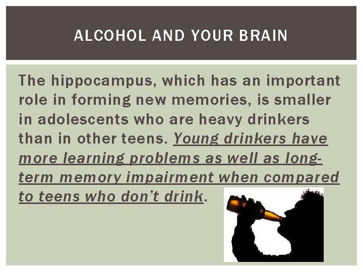 ALCOHOL AND YOUR BRAIN The hippocampus, which has an important role in forming new