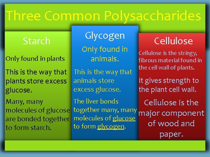 Three Common Polysaccharides Starch Only found in plants This is the way that plants