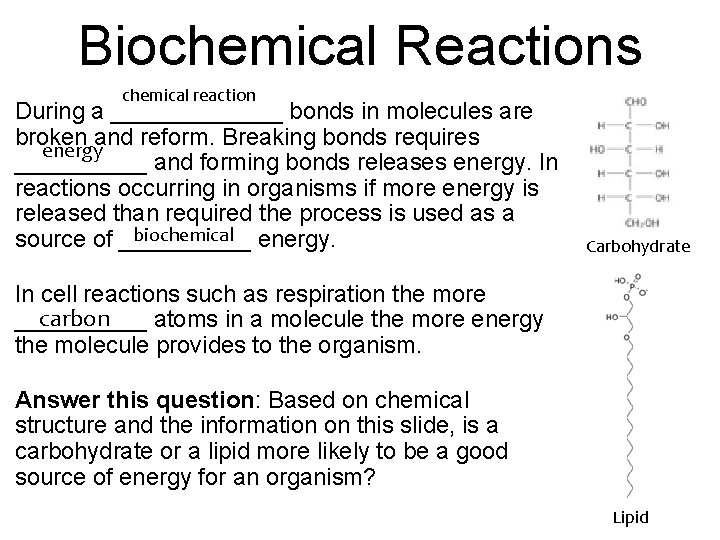 Biochemical Reactions chemical reaction During a _______ bonds in molecules are broken and reform.