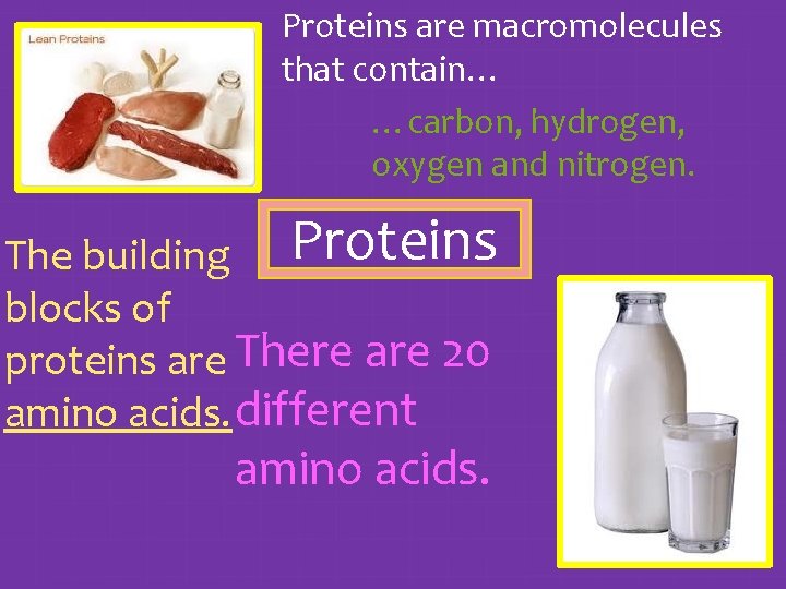 Proteins are macromolecules that contain… …carbon, hydrogen, oxygen and nitrogen. The building Proteins blocks