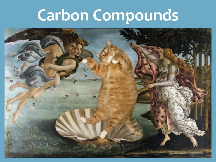 Carbon Compounds 