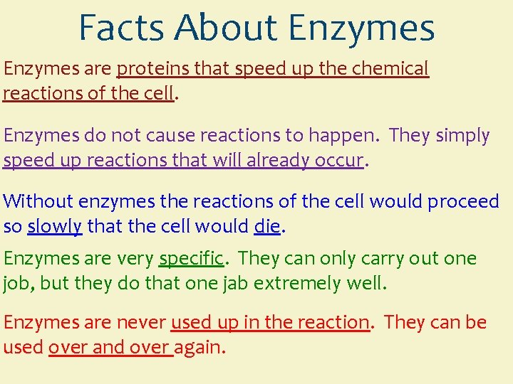 Facts About Enzymes are proteins that speed up the chemical reactions of the cell.