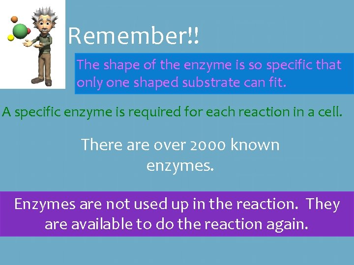 Remember!! The shape of the enzyme is so specific that only one shaped substrate