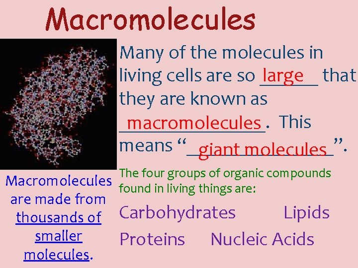 Macromolecules Many of the molecules in living cells are so ______ large that they