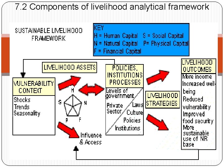 7. 2 Components of livelihood analytical framework 