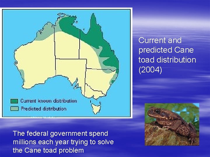 Current and predicted Cane toad distribution (2004) The federal government spend millions each year