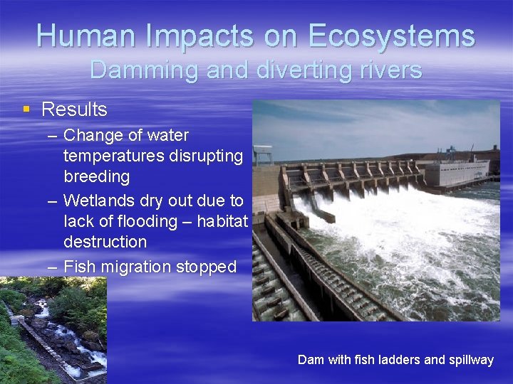 Human Impacts on Ecosystems Damming and diverting rivers § Results – Change of water