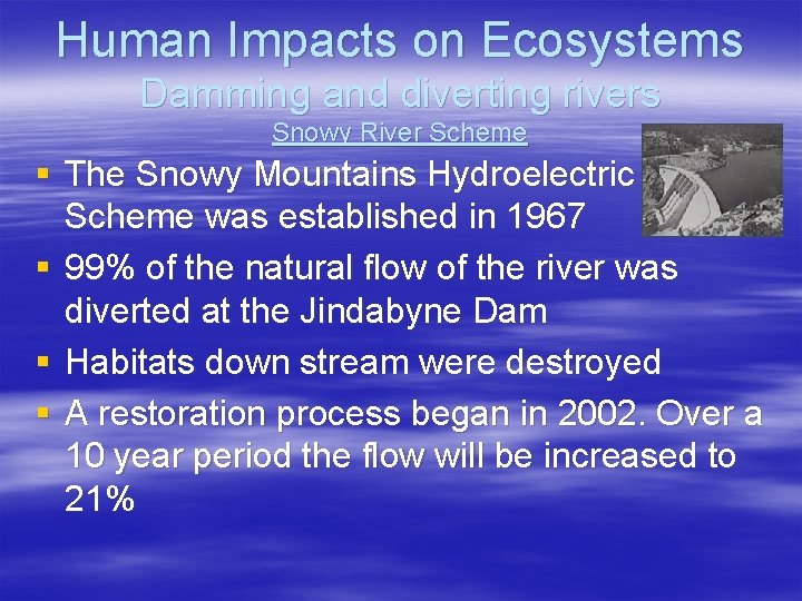 Human Impacts on Ecosystems Damming and diverting rivers Snowy River Scheme § The Snowy