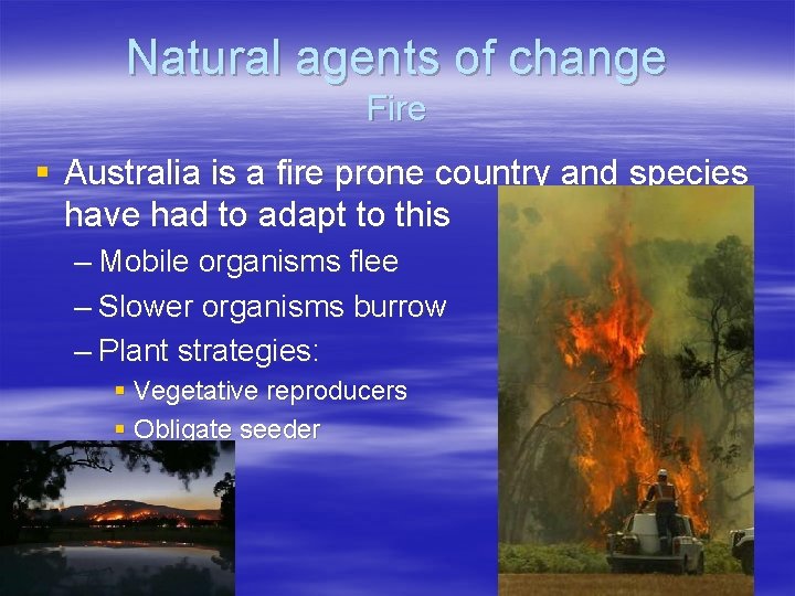 Natural agents of change Fire § Australia is a fire prone country and species