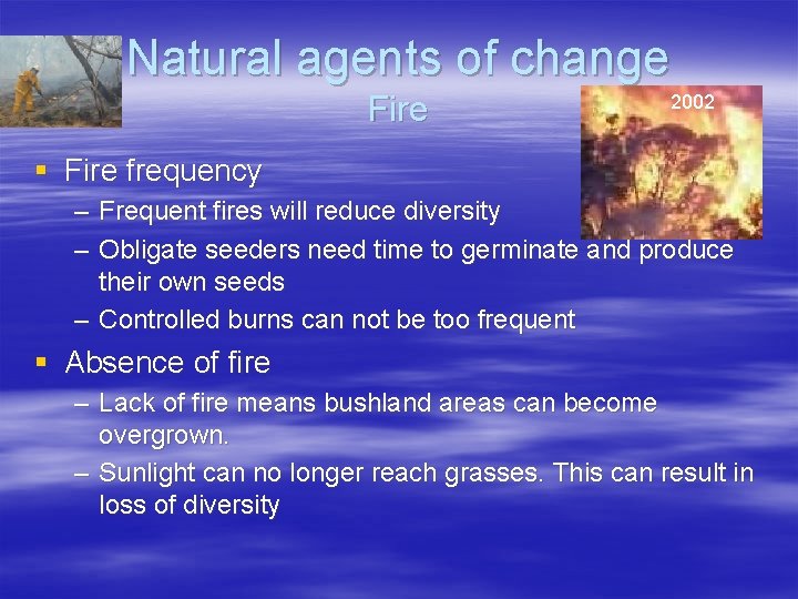 Natural agents of change Fire 2002 § Fire frequency – Frequent fires will reduce