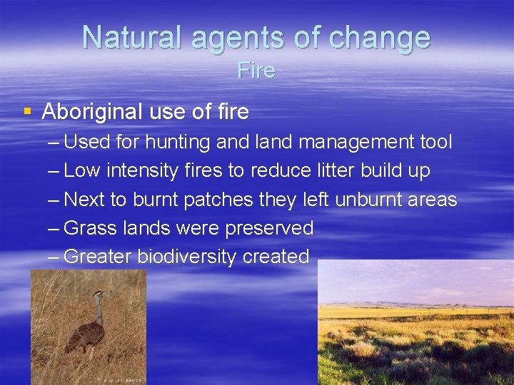 Natural agents of change Fire § Aboriginal use of fire – Used for hunting