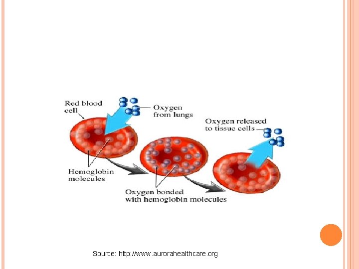 Source: http: //www. aurorahealthcare. org 