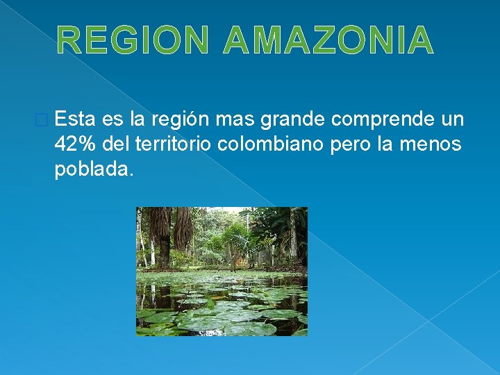 REGION AMAZONIA � Esta es la región mas grande comprende un 42% del territorio