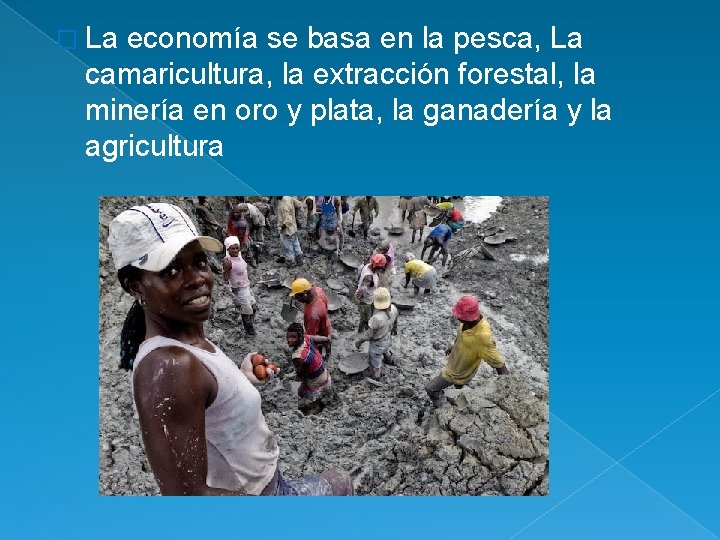 � La economía se basa en la pesca, La camaricultura, la extracción forestal, la