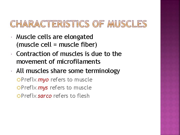  Muscle cells are elongated (muscle cell = muscle fiber) Contraction of muscles is