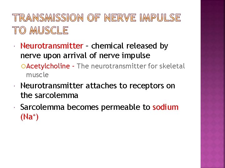  Neurotransmitter – chemical released by nerve upon arrival of nerve impulse Acetylcholine -