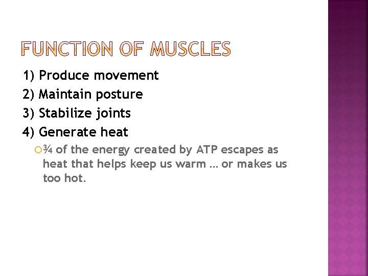 1) 2) 3) 4) Produce movement Maintain posture Stabilize joints Generate heat ¾ of