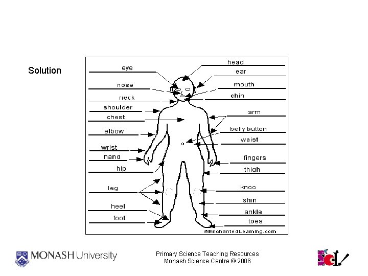 External Body Parts Solution Primary Science Teaching Resources Monash Science Centre © 2006 