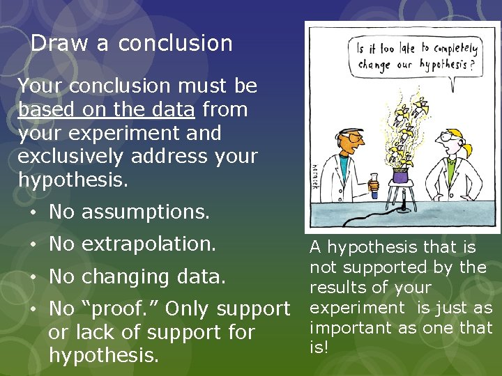 Draw a conclusion Your conclusion must be based on the data from your experiment Draw a conclusion Your conclusion must be based on the data from your experiment