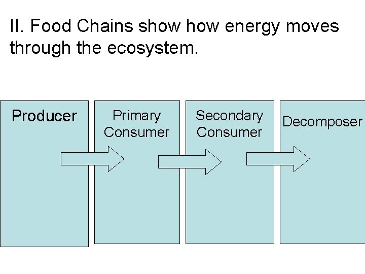 II. Food Chains show energy moves through the ecosystem. Producer Primary Consumer Secondary Consumer