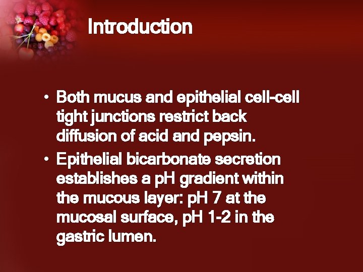 Introduction • Both mucus and epithelial cell-cell tight junctions restrict back diffusion of acid