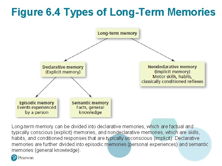 Figure 6. 4 Types of Long-Term Memories Long-term memory can be divided into declarative
