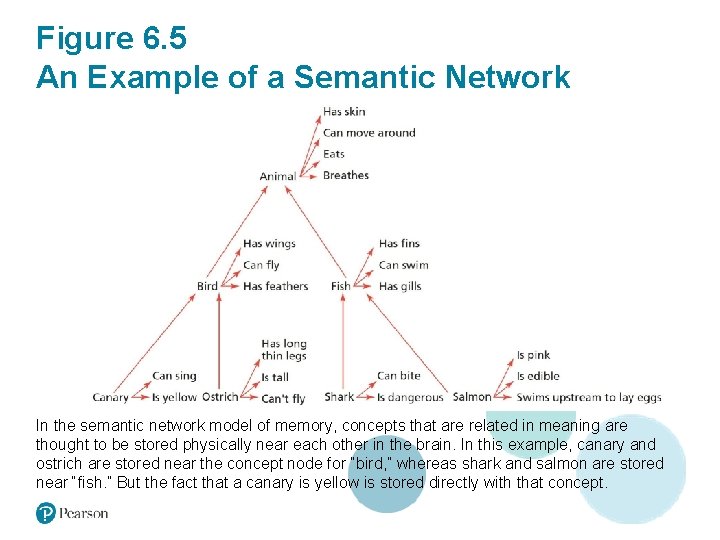 Figure 6. 5 An Example of a Semantic Network In the semantic network model