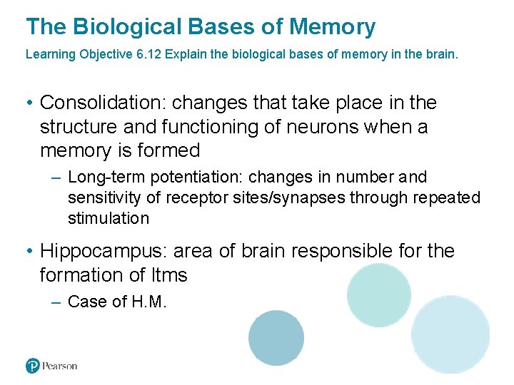 The Biological Bases of Memory Learning Objective 6. 12 Explain the biological bases of