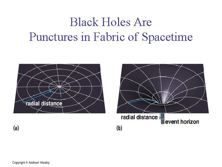Black Holes Are Punctures in Fabric of Spacetime 