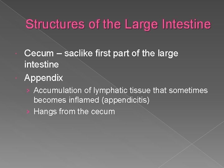 Structures of the Large Intestine Cecum – saclike first part of the large intestine