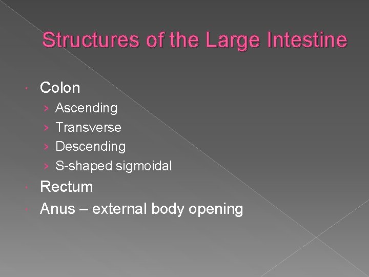 Structures of the Large Intestine Colon › › Ascending Transverse Descending S-shaped sigmoidal Rectum