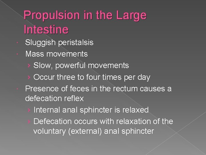 Propulsion in the Large Intestine Sluggish peristalsis Mass movements › Slow, powerful movements ›