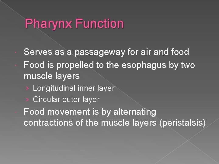 Pharynx Function Serves as a passageway for air and food Food is propelled to