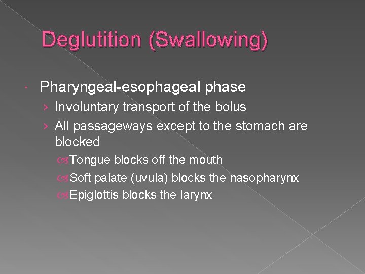Deglutition (Swallowing) Pharyngeal-esophageal phase › Involuntary transport of the bolus › All passageways except