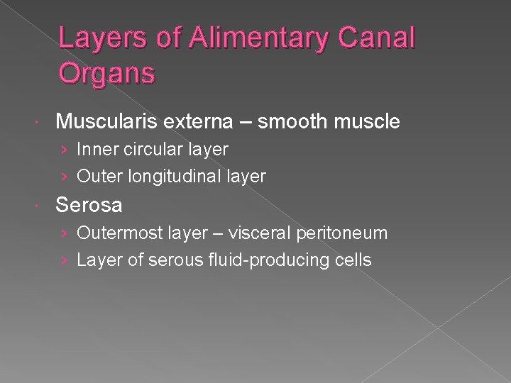 Layers of Alimentary Canal Organs Muscularis externa – smooth muscle › Inner circular layer