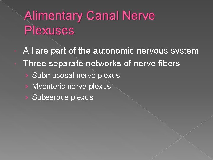 Alimentary Canal Nerve Plexuses All are part of the autonomic nervous system Three separate