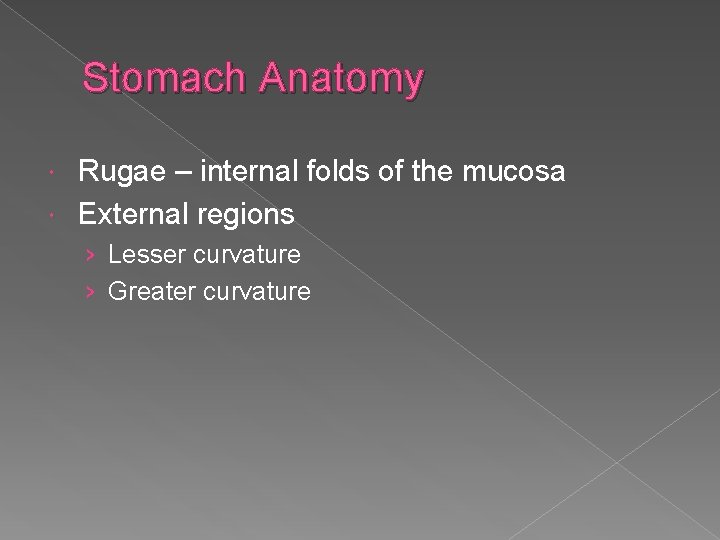 Stomach Anatomy Rugae – internal folds of the mucosa External regions › Lesser curvature