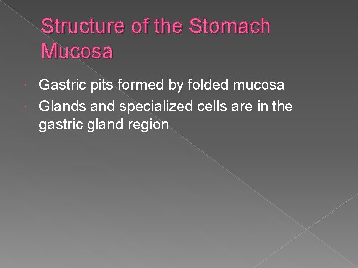 Structure of the Stomach Mucosa Gastric pits formed by folded mucosa Glands and specialized